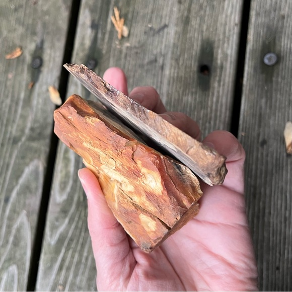 Petrified Wood 2 Piece Set - Picture 4 of 16